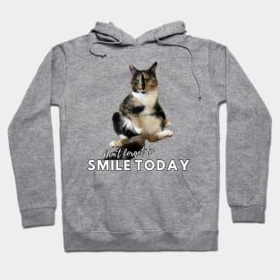 Snickers The Cat - Don't Forget to Smile Today Hoodie